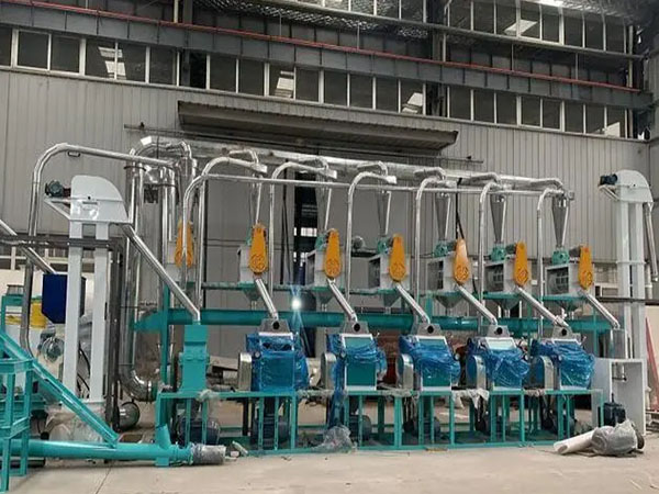 <a href=http://http://m.gczcqf.cn/product/6/ target=_blank class=infotextkey>玉米加工機械</a>