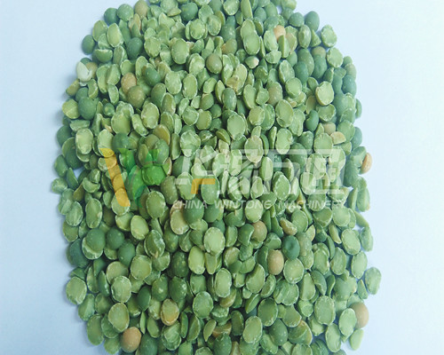 <a href=http://m.gczcqf.cn/product/8/ target=_blank class=infotextkey>豌豆脫皮機</a>